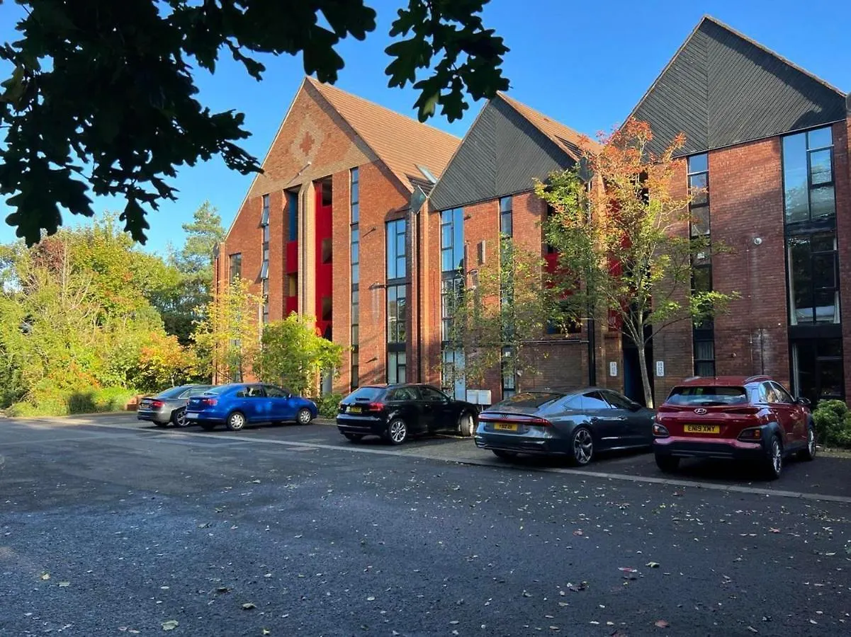 Modern Luxurious Apartment W/ Patio Balcony & View Jordanstown